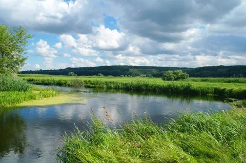 River, land with trees and cloudy sky Stock Photos