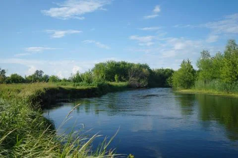 River, land with trees and cloudy sky Stock Photos