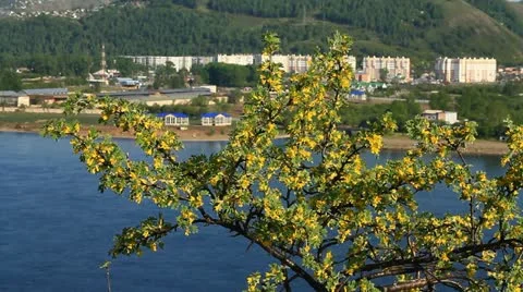 River landscape.  002 Stock Footage 11499355