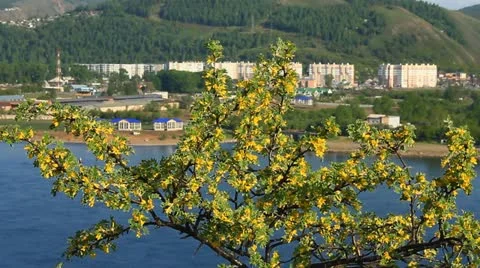 River landscape. 003 Stock Footage 11499347