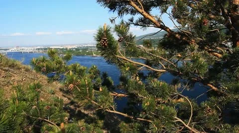 River landscape.  008 Stock Footage 11501572