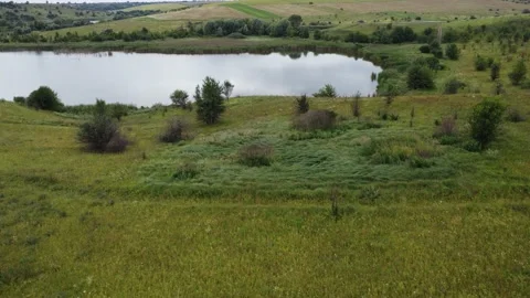 River landscape background. Green forest at river. Stock Footage 213627420