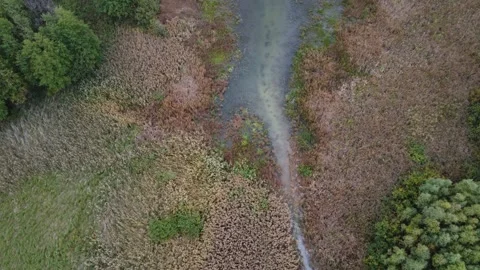 River landscape background. Green forest at river. Flying footage. Stock Footage 223335141