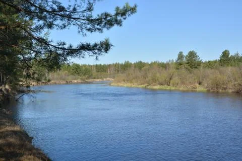 River landscape in early spring. Stock Photos