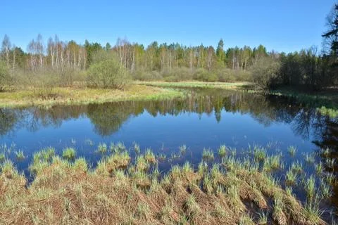 River landscape in early spring. Foto stock