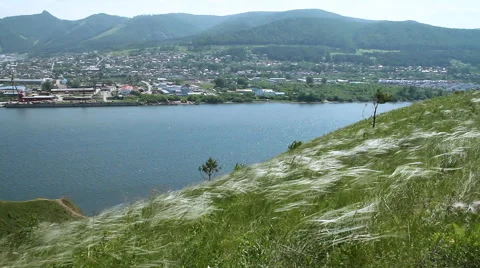 River landscape. Feather Grass. Stock-Footage 67705440