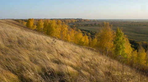River landscape. Field landscape. Russian siberian nature. Autumn landscape. Video stock 55809300