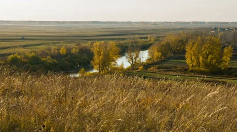River landscape. Field landscape. Russian siberian nature. Autumn landscape. 動画素材 55813956