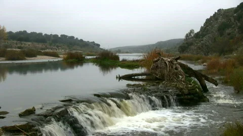 River landscape Stock Footage 567513