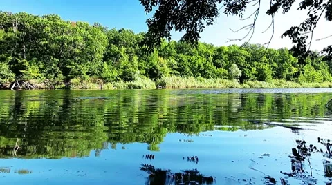 River landscape Video stock 8656040