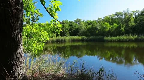 River landscape Stock Footage 8922314