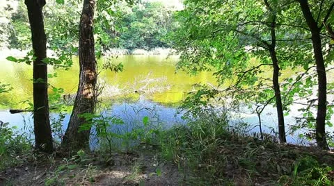 River landscape 库存影片 10837153