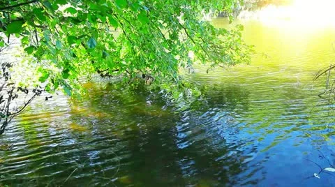 River landscape Stock Footage 21290622