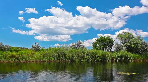 River landscape Video stock 26204384