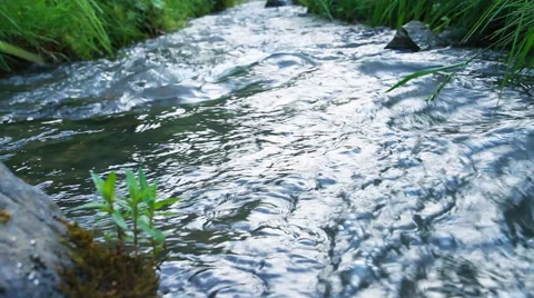 River landscape. Stock Footage 40313987