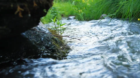 River landscape Stock Footage 40326031