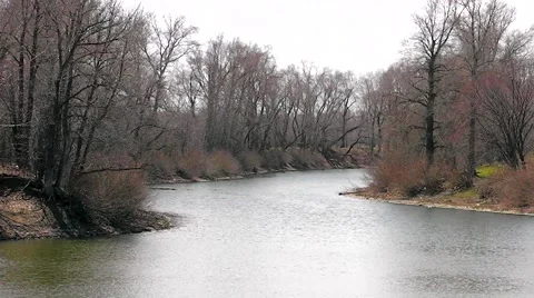 River landscape. Video stock 50063156