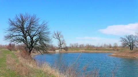 River landscape. Video stock 50091064