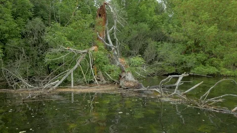 River landscape Stock Footage 91974531