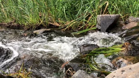 River landscape Stock Footage 119583763