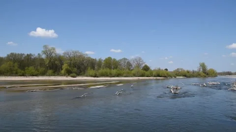 River landscape Stock Footage 152877198