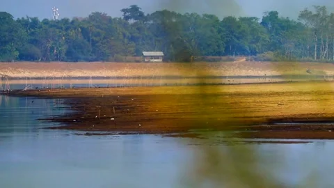 River landscape with forest, hut, and communication tower in Assam Stock Footage 327179876