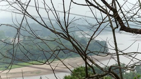 River landscape framed by tree branches under a hazy sky Video stock 337929024