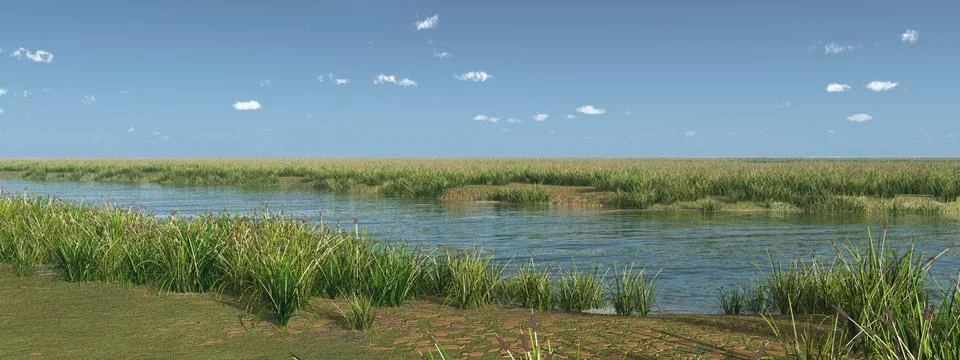 River landscape Stock-Illustration