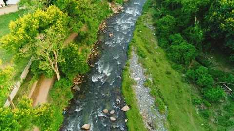 River landscape in a mountain valley. Forest water stream. River in the forest. Stock Footage 247233398