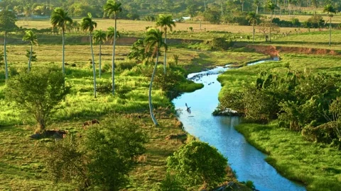 River landscape in a mountain valley. Forest stream. River in the forest. Vidéo 334136078