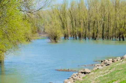 River landscape Stock Photos
