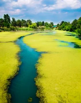River landscape Stock Photos