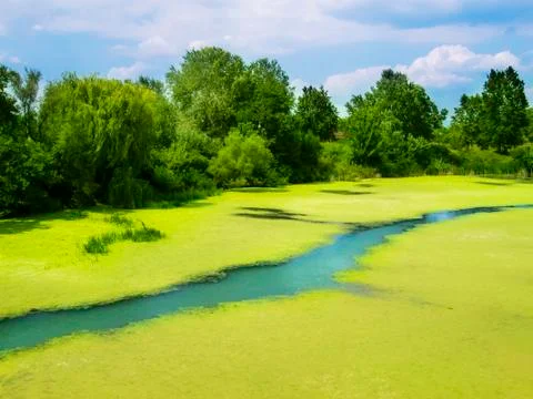 River landscape Stock Photos