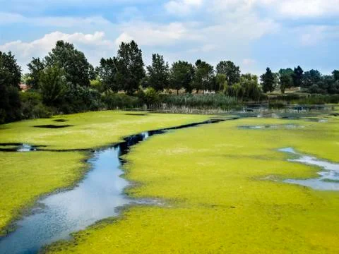 River landscape Stock Photos