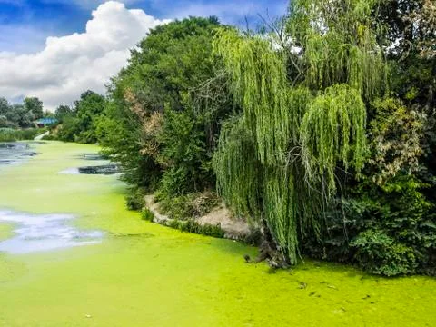 River landscape Stock Photos