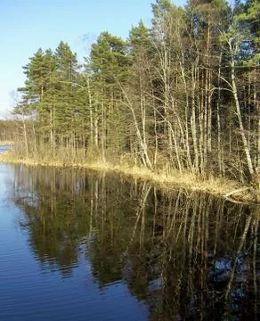 River landscape Stock Photos