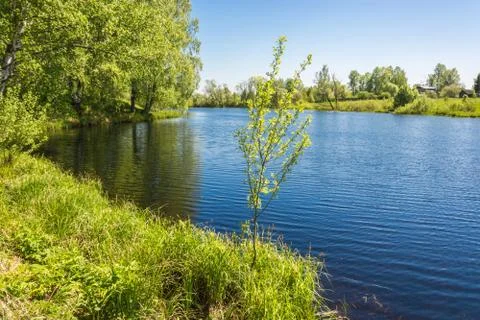 River landscape. Stock Photos
