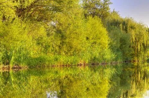 River landscape Stock Photos