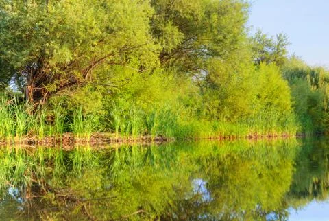 River landscape Stock Photos
