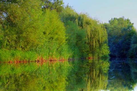 River landscape Stock Photos