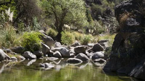 River landscape Stock Photos