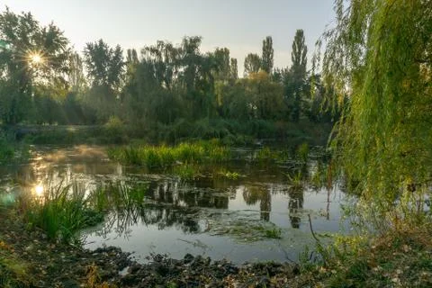 River landscape Stock Photos
