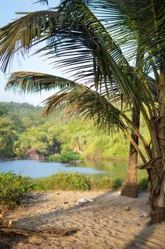 River Landscape 스톡 사진