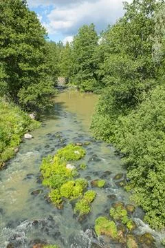 River landscape. Stock Photos