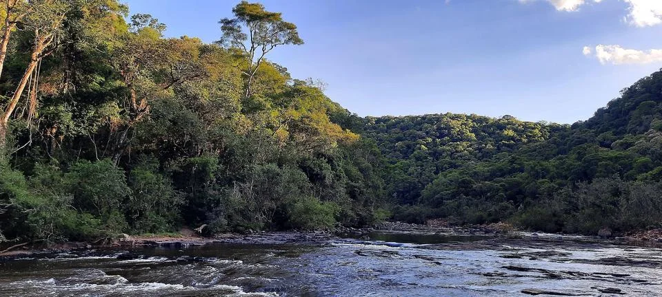 River landscape Stock Photos