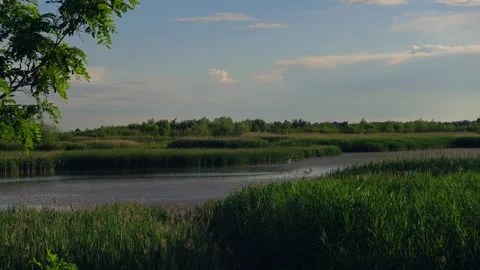 River Landscape in Romania Stock Footage 155599505