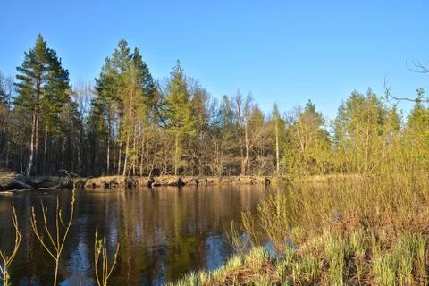 River landscape in spring. Stock Photos