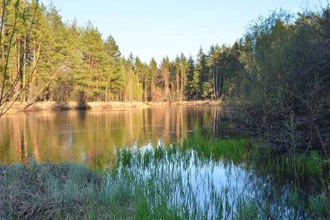 River landscape in spring. Stock Photos