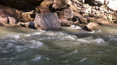 River landscape with a strong stream Stock Footage 308111524