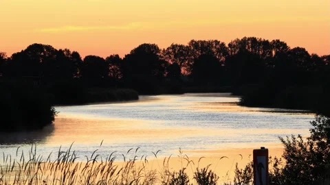River landscape at sunrise,  idyllic calm nature, zoom in Stock Footage 215857034